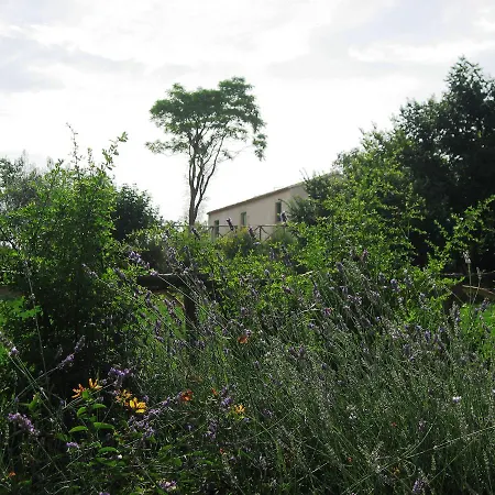 Nyaraló Baia 2